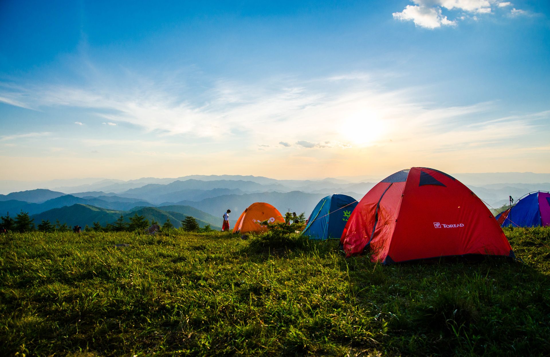 Forest campsite at golden hour